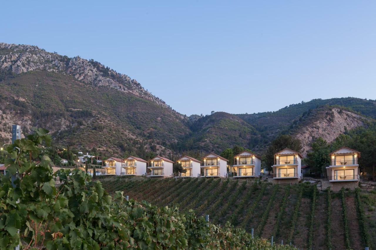 Gillham Vineyard Hotel Templos Exterior foto