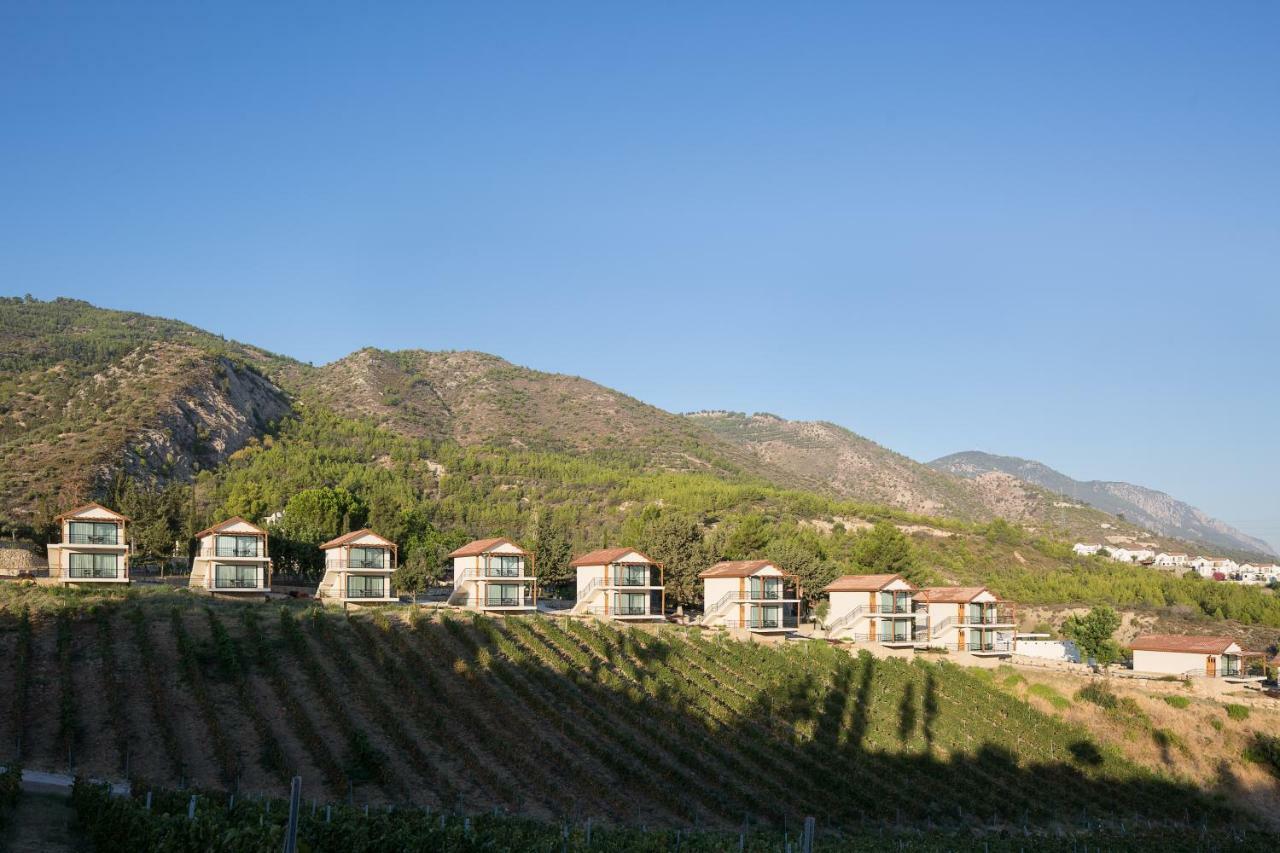 Gillham Vineyard Hotel Templos Exterior foto