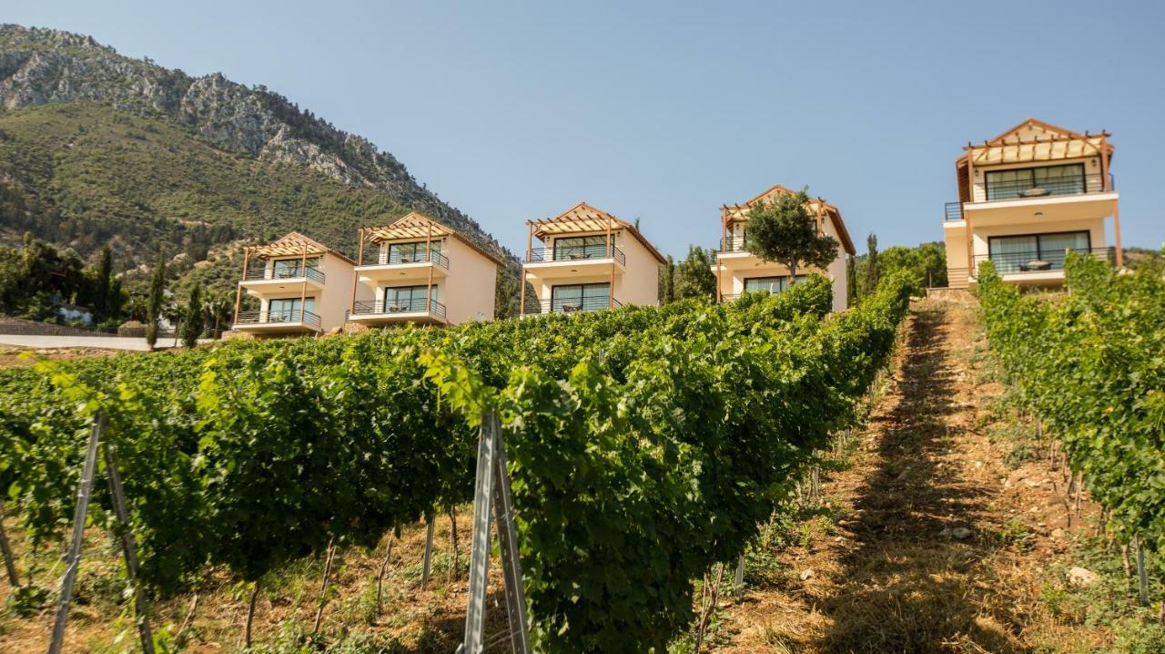 Gillham Vineyard Hotel Templos Exterior foto